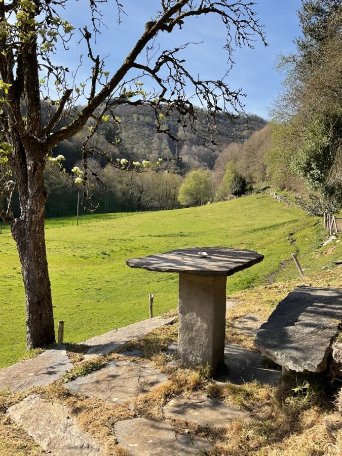 Casa Freixe Apartamentos Rurales Santa Eulalia de Oscos Kültér fotó